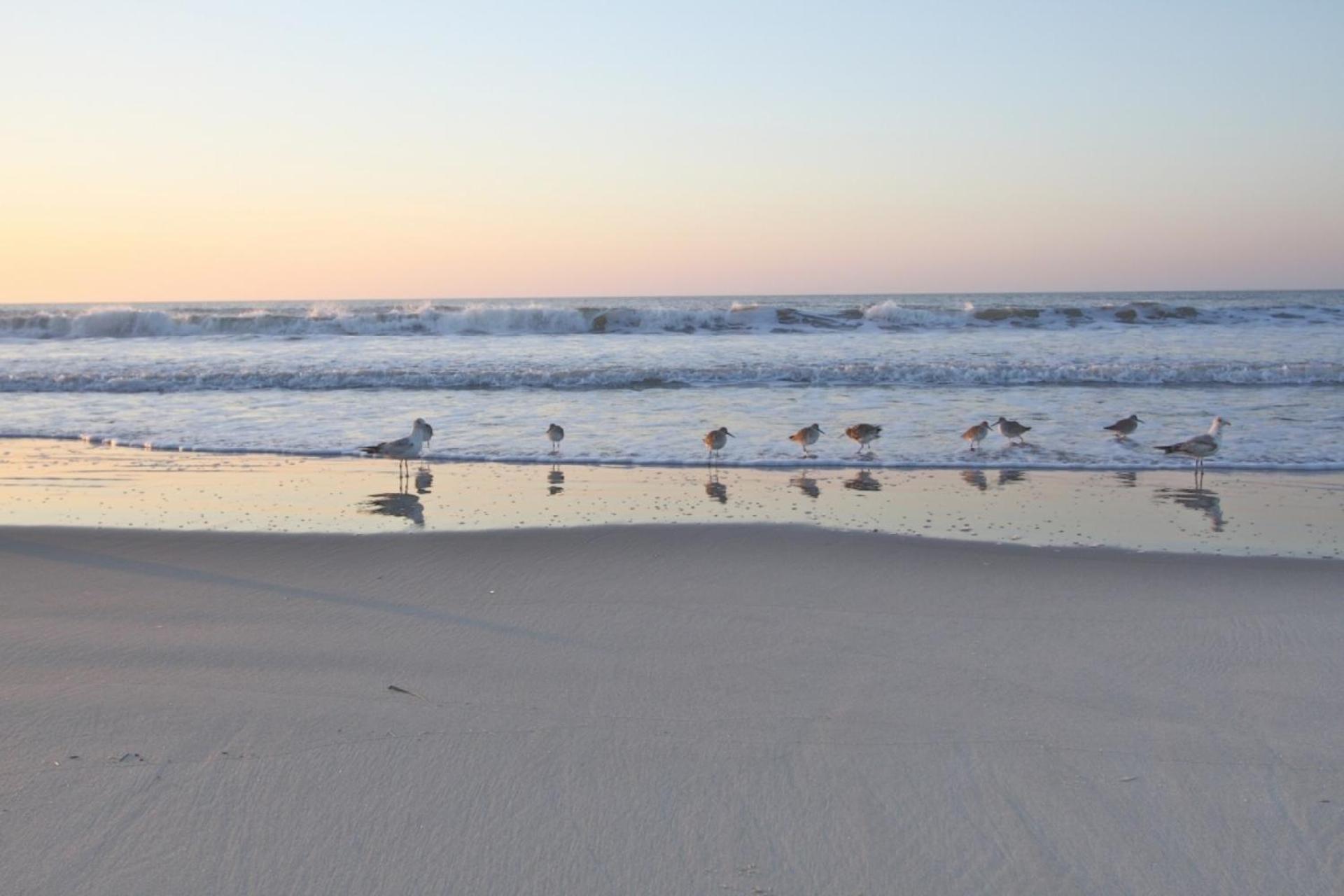 Ocean Pearl Villa Isle of Palms Dış mekan fotoğraf